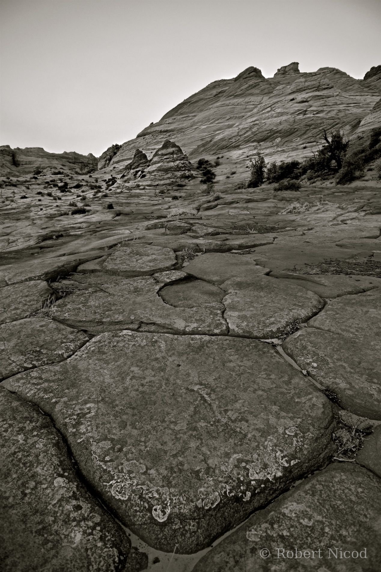 Des touristes à l'Ouest — Coyote Buttes, Utah