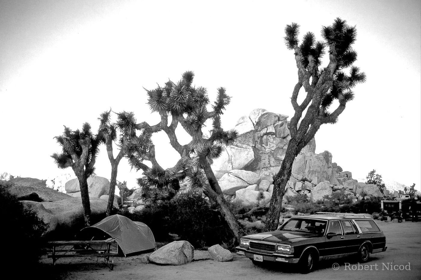 Des touristes à l'Ouest — Emplacement de camping, Joshua Tree, Californie