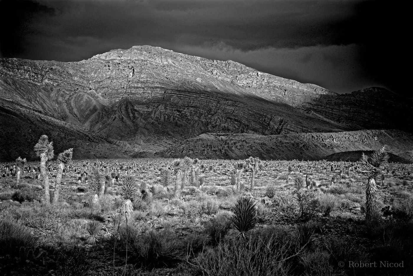 Des touristes à l'Ouest — Death Valley, Californie