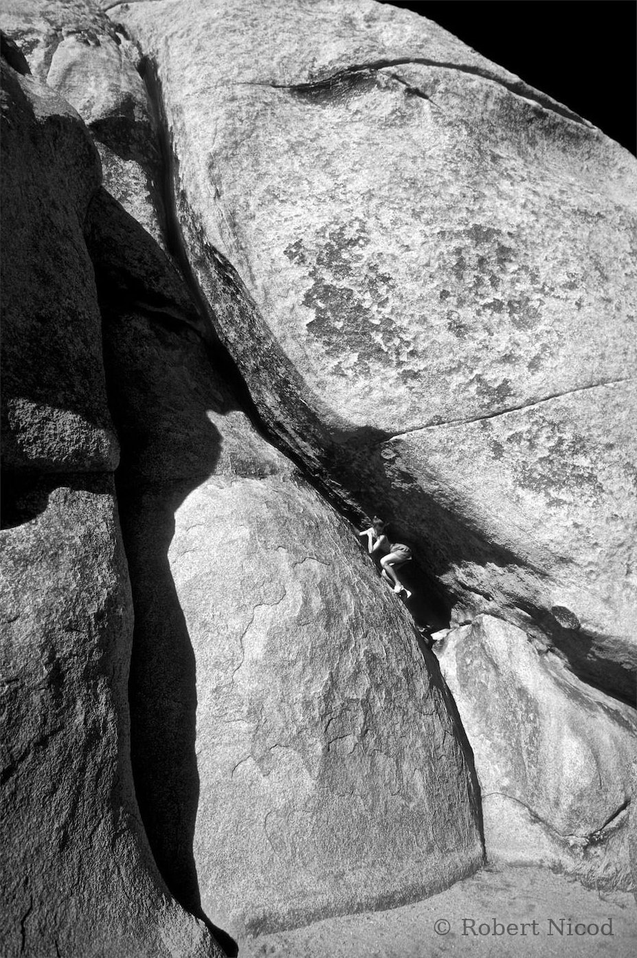 Des touristes à l'Ouest — Prise de risque, Joshua Tree, Californie